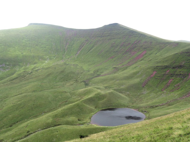 cornduandpenyfan.jpg