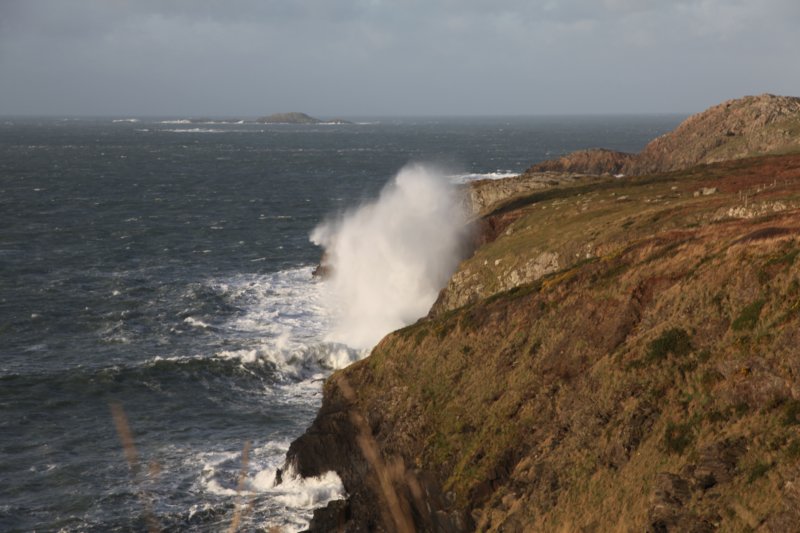 stdavidshead.jpg